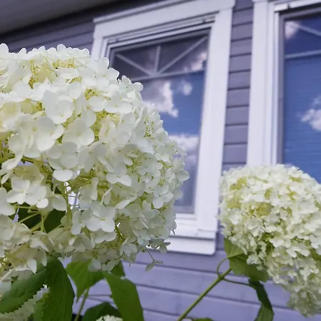 Seele An Der Mueritz