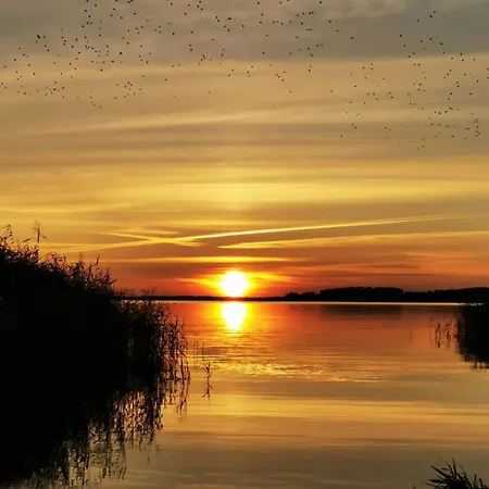 Holiday home Seele An Der Mueritz *